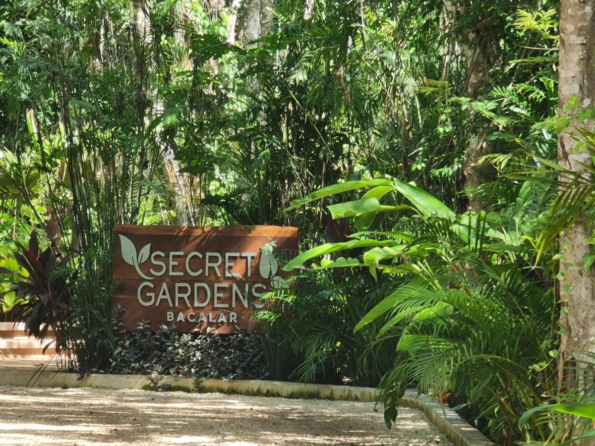 Secret Gardens 02 Con Alberca Y Bicicletas * Bacalar