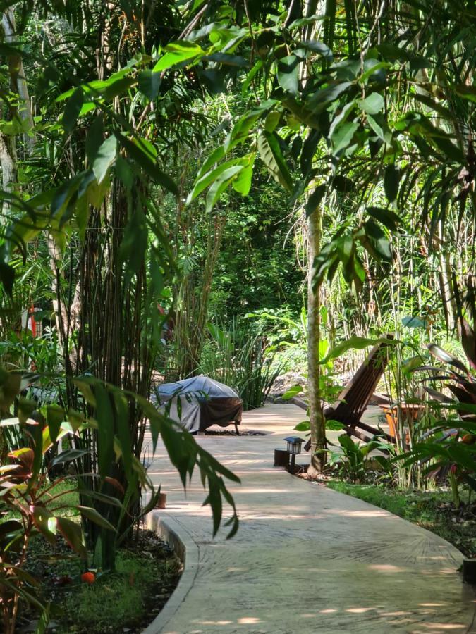 Secret Gardens 02 Con Alberca Y Bicicletas Hotel Bacalar