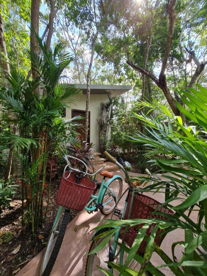 Secret Gardens 02 Con Alberca Y Bicicletas Bacalar