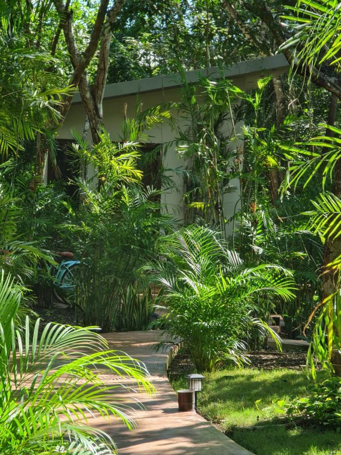 Secret Gardens 02 Con Alberca Y Bicicletas Bacalar